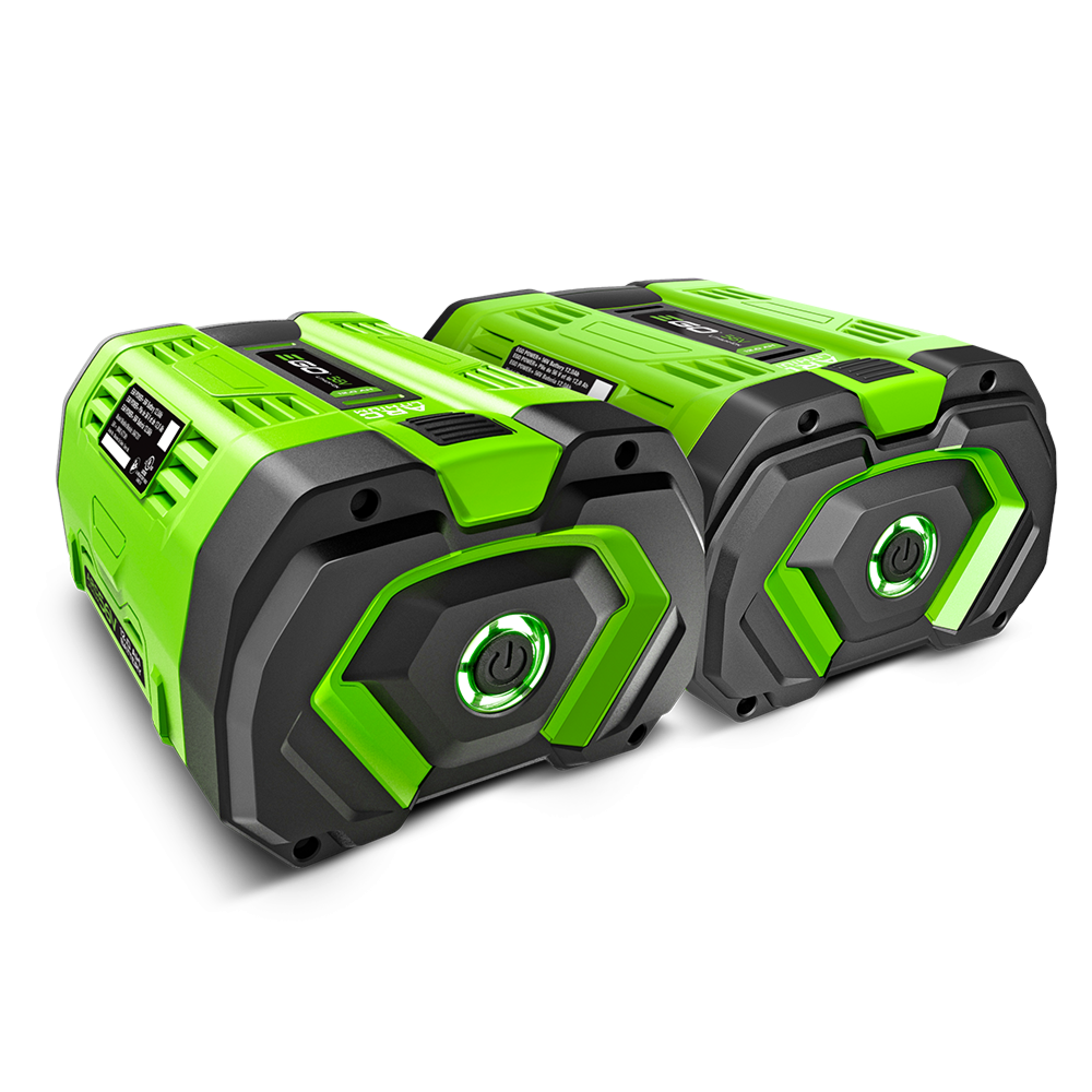 EGO POWER+ 12.0 Amp Hour Battery (2 pack)