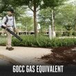 EGO Commercial 800 CFM Backpack Blower with Peak Power™