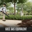 EGO Commercial 800 CFM Backpack Blower with Peak Power™